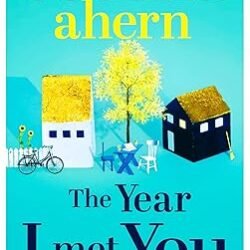 The Year I Met You