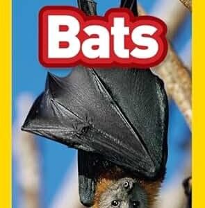 Bats