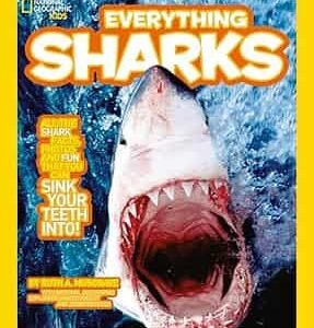Everything: Sharks