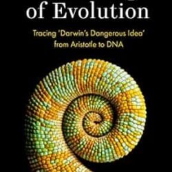 On The Origin Of Evolution