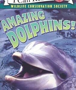 Amazing Dolphins !  Level 2