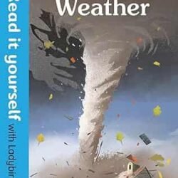 Wild Weather : Read It Yourself With Ladybird Level 3