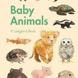 A Ladybird Book: Baby Animals