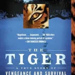 The Tiger