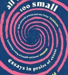 All Things Are Too Small: Essays In Praise Of Excess