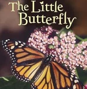 The Little Butterfly (Step 2)