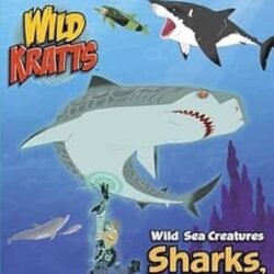 Wild Sea Creatures: Sharks, Whales and Dolphins