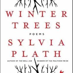 Winter Trees
