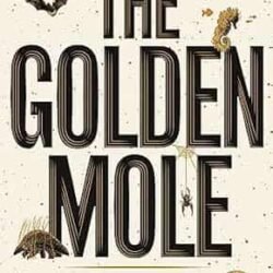 The Golden Mole
