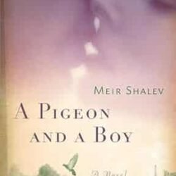 A Pigeon and a Boy : A Novel