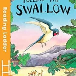 Follow the Swallow