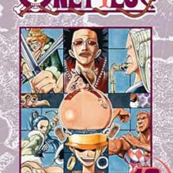 One Piece 13
