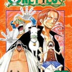 One Piece 25