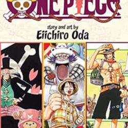 One Piece 3-In-1 Edition 06