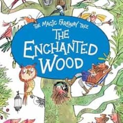 The Magic Faraway Tree: The Enchanted Wood