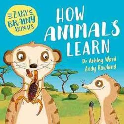 Zany Brainy Animals
