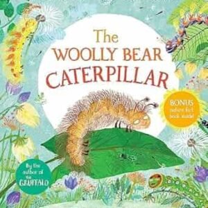 The Woolly Bear Caterpillar