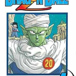 Dragon Ball 04