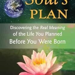 Your Soul's Plan