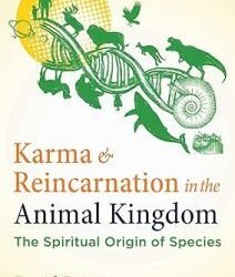 Karma And Reincarnation In The Animal Kingdom