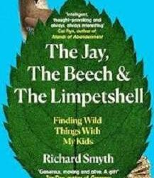 The Jay, The Beech And The Limpetshell
