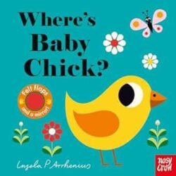 Wheres Baby Chick?