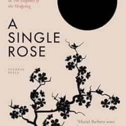A Single Rose