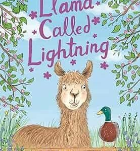 A Llama Called Lightning