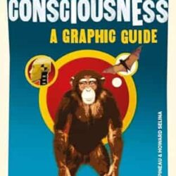 Introducing Consciousness : A Graphic Guide