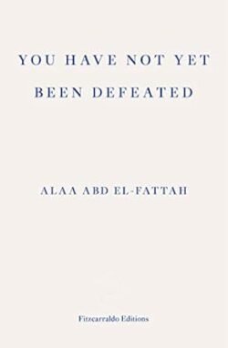 You Have Not Yet Been Defeated: Selected Writings 201 1-2019