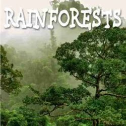 Geography : Rain Forests