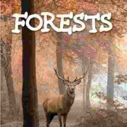 Geography : Forests