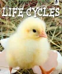 Science : Life Cycles