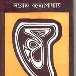 Aaloandharer Setu: Rabindrachitrakalpa