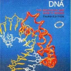 Understanding DNA : The Molecule and How it Works