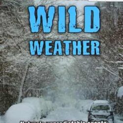 Wild  Wheather