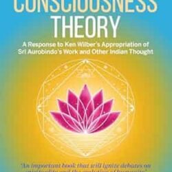 The Battle for Consciousness Theory