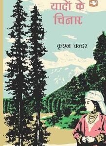 Yaadon Ke Chinar