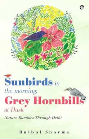 Sunbirds In The Morning, Grey Hornbills At Dusk