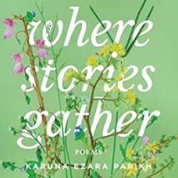 Where Stories Gather