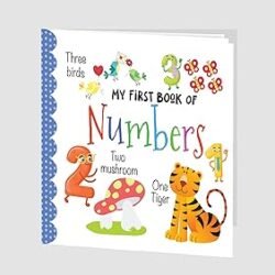 My First Book Numbers