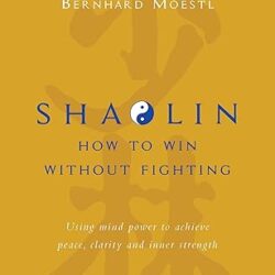 Shaolin: How to win without fighting