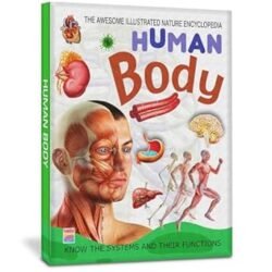 Human Body