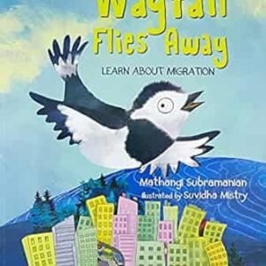 Wagtail Flies Away: Learn About Migration