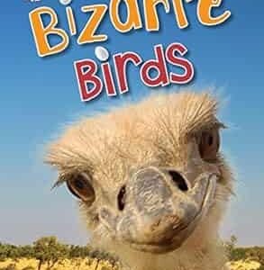 Bizarre Birds - Scholastic Reader Level 2