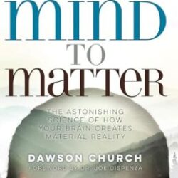 Mind To Matter The Astonishing Science Of How Your Brain Creates Material Reality