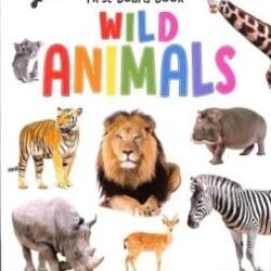 Baby's First Board Book : Wild Animals