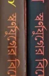 Goyenda Hajir || 2 Vol. Set (গোয়েন্দা হাজির || ২ ভলিউম সেট) by Eshani Roychowdhury, Keya Mukhopadhyay, Shamita Dasgupta