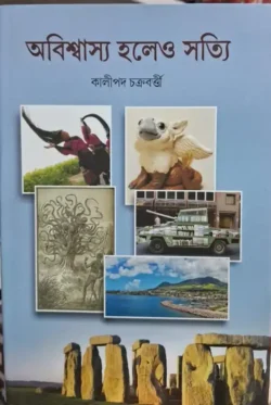 Abiswasyo Holeo Sotti
