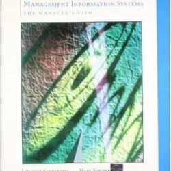 Management Information System: the Managers' s VIew